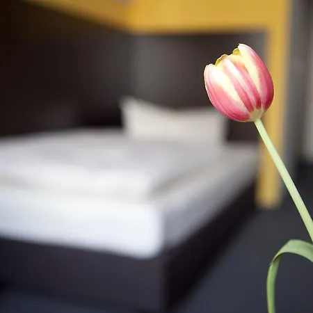 Hotel Gs 3*